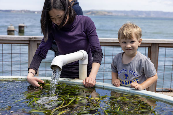Girl and little boy next to water filled with plants for Estuary & Ocean Science Center event