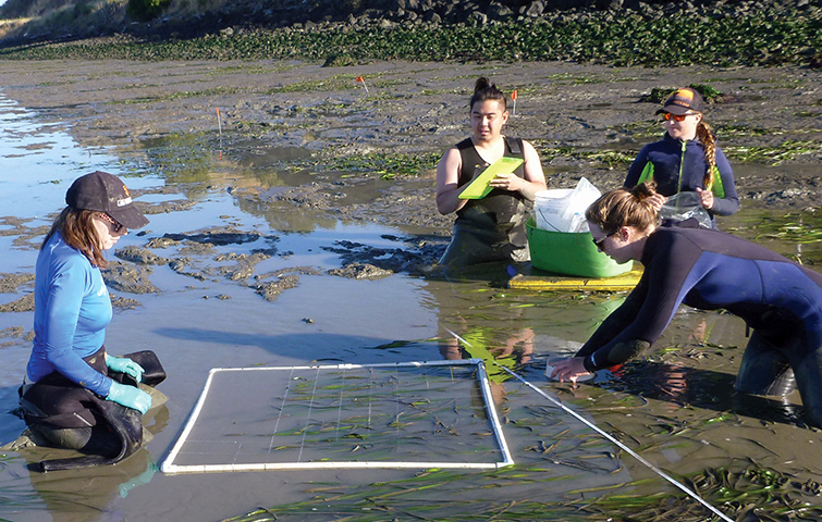 Students conduct science in coastal waters. Photo by Paul Asper, courtesy of the Romberg Tiburon Center