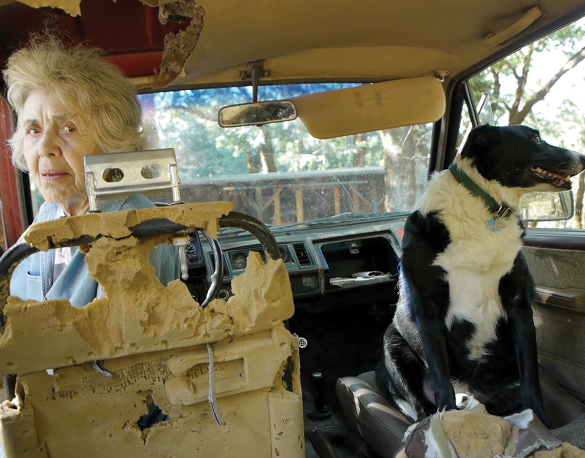 Sally Gearhart and a dog in a car