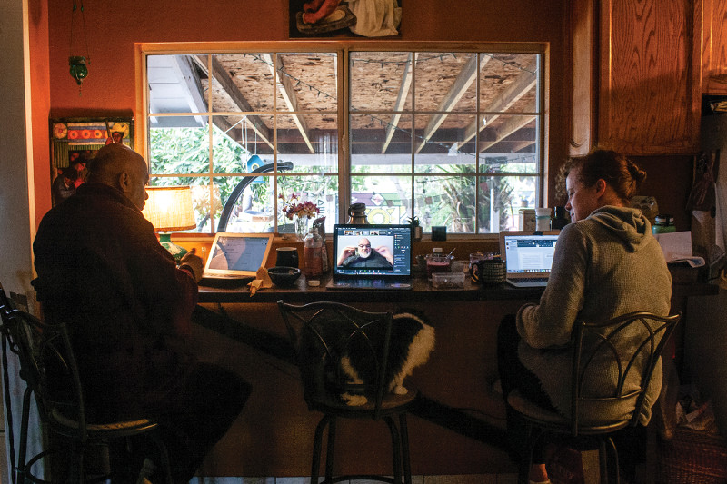 Two people using laptop computers facing a window