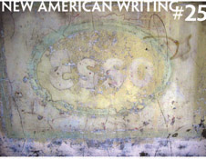 A picture of the "New American Writing" literary journal