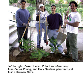 SFSU students Cesar Juarez, Erika Leon-Guerrero, Juan Carlos Chang, and Mark Santana are taking a break from planting ferns at Justin Herman Plaza. They are standing in a row, holding shovels, and smiling for the camera in front of several newly planted ferns.