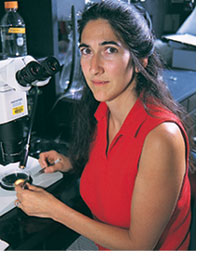 Professor Carmen Domingo tending to the contents of a Petri dish under a microscope in her lab.