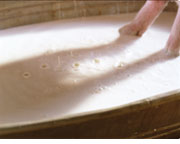 A vat of white milk, bubbles bursting on the surface.