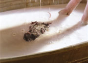 An animated rat, with soaked fur, dropped into a vat of milk.