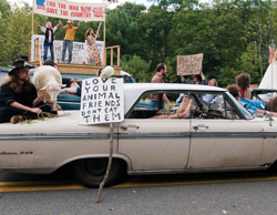 Photo from "Taking Woodstock" of protestors on stage and next to a car in foreground.