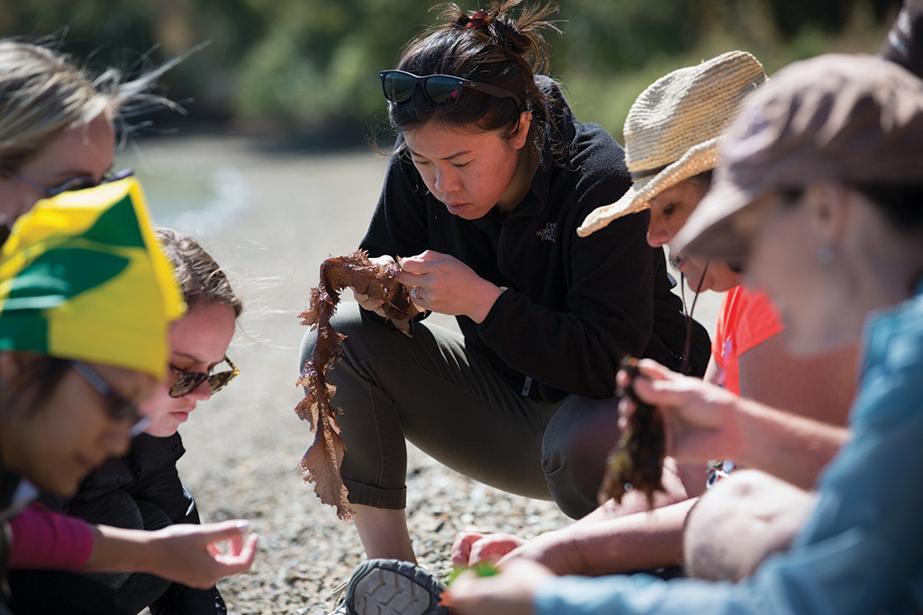 An EOS researcher takes a closer look at the native seagrass from the Bay
