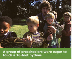 A group of four-year olds work together to hold a 16-foot python