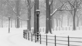 Alumnus Lyle Gomes’ black and white photograph of a snow-covered lane