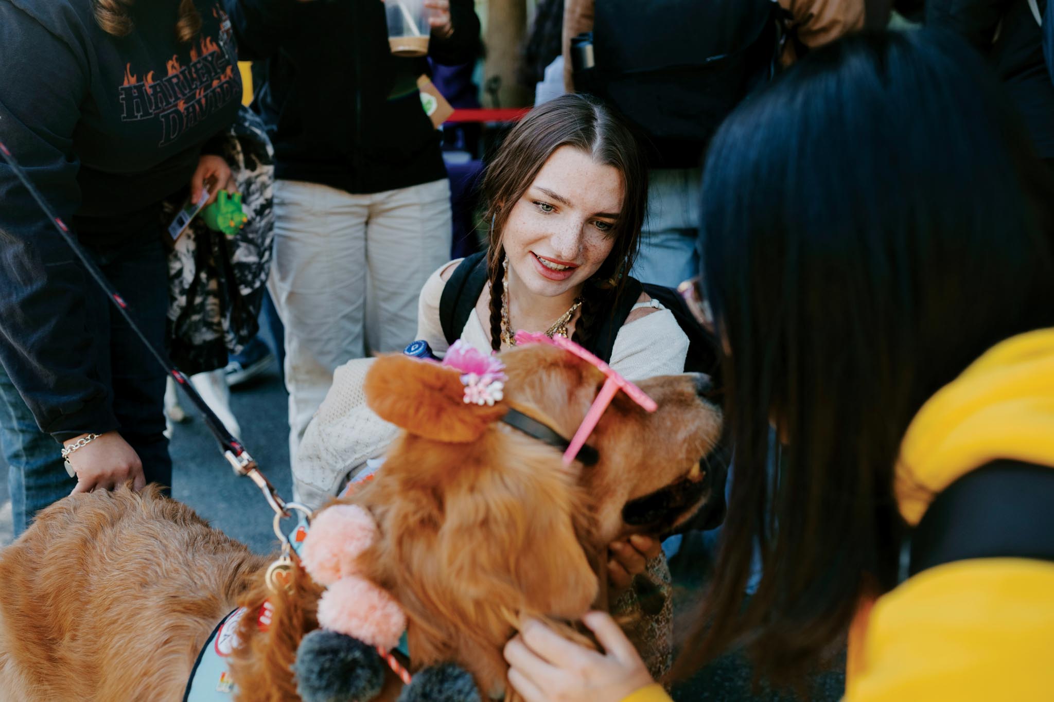 Wags for Wellness event featuring destress puppies