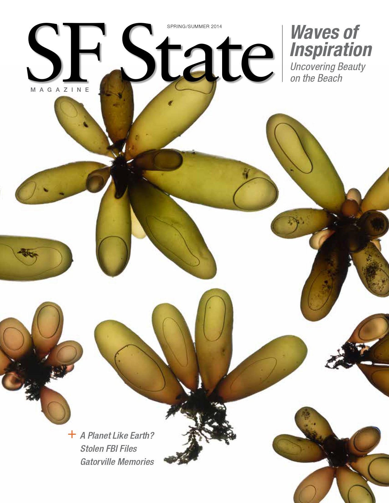 Spring Summer 2014 Magazine Cover featuring seaweed 