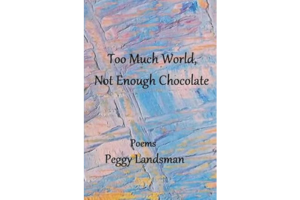 Too Much World, Not Enough Chocolate Book Cover