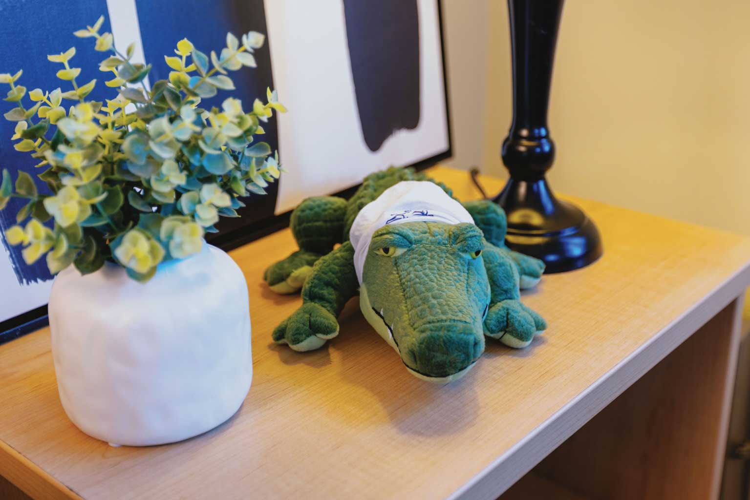 Alli the Gator Plushee toy