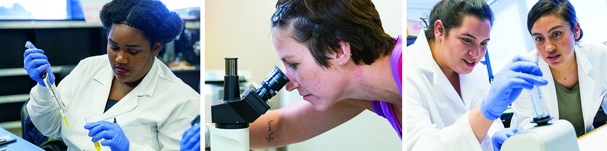 women working in the lab