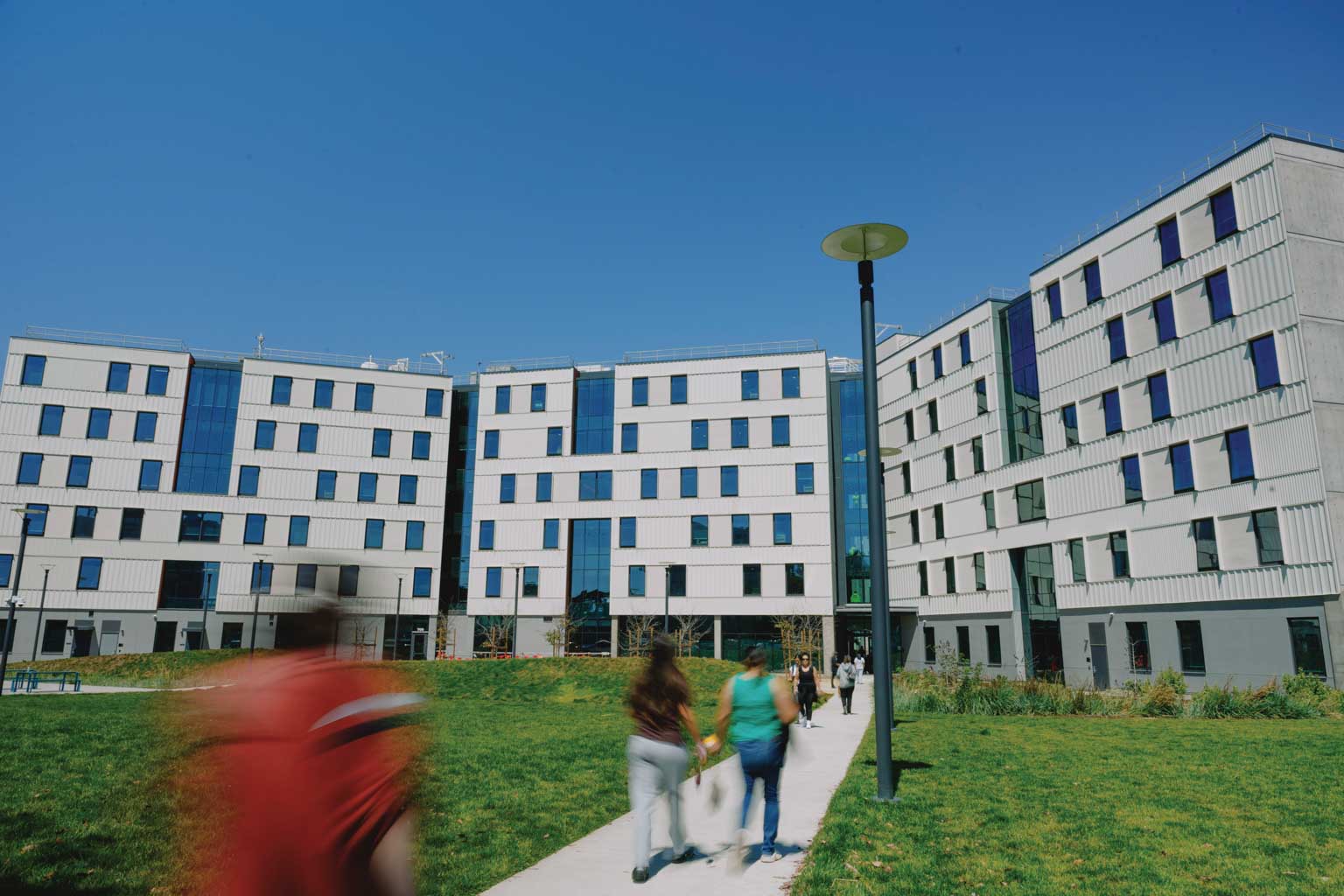 West Grove Commons walking path