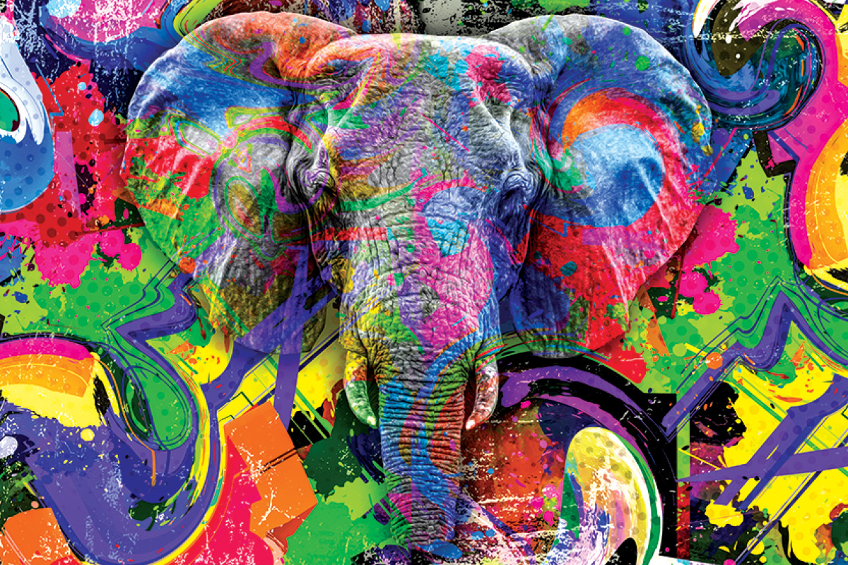 Colorful elephant