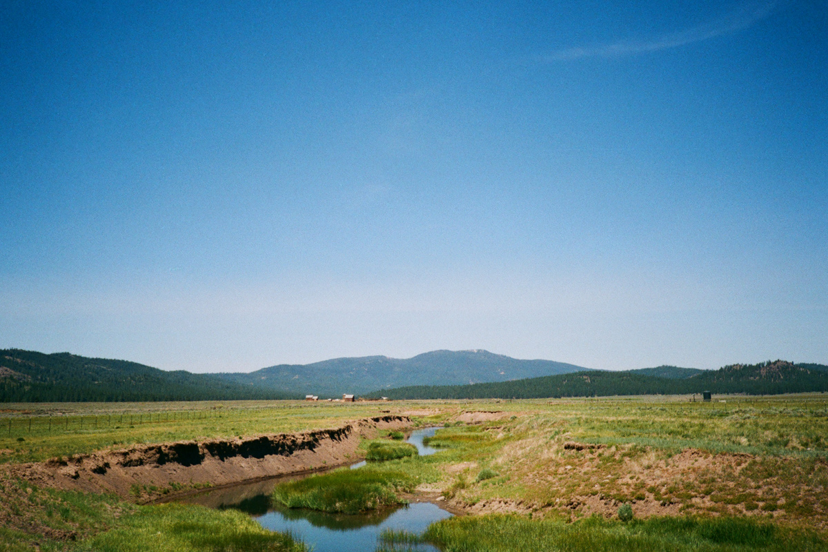 a landscape of grassy mounds and river bank