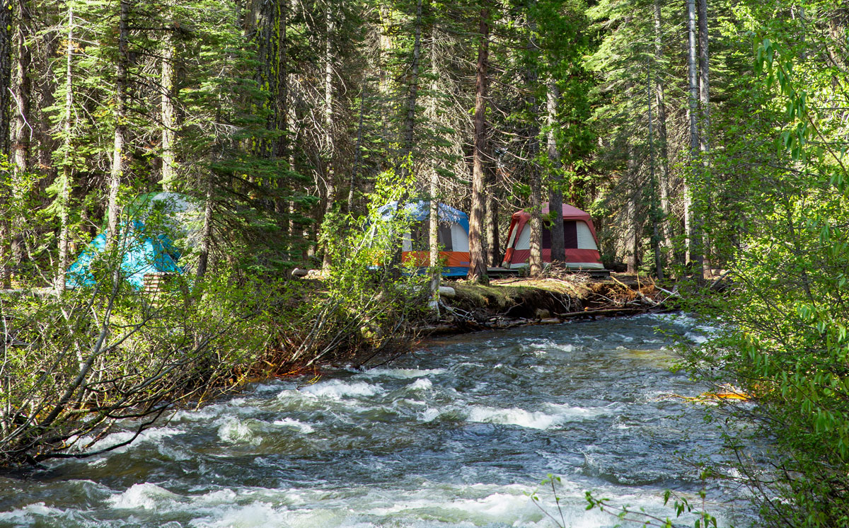 Three tents in a forest with a river in the foreground