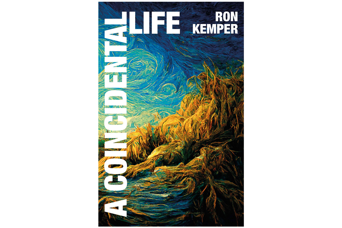 book cover of 'A Coincidental Life' with painting style of the sky, mountains and ocean