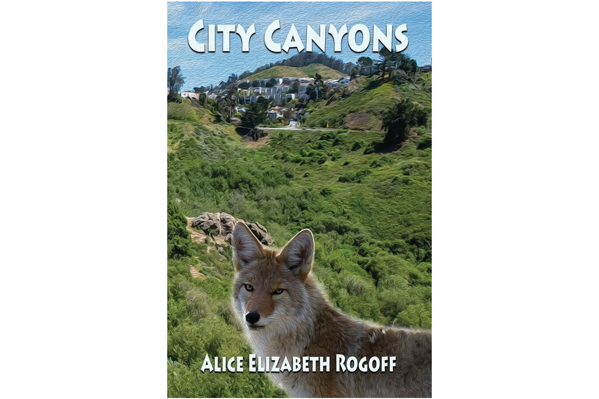 an adult fox in the foreground and a city built on a mountainous area in the background