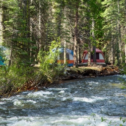 Three tents in a forest with a river in the foreground